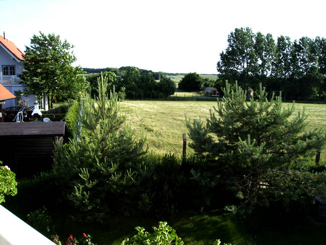 Schneewitz in Lohme auf R�gen