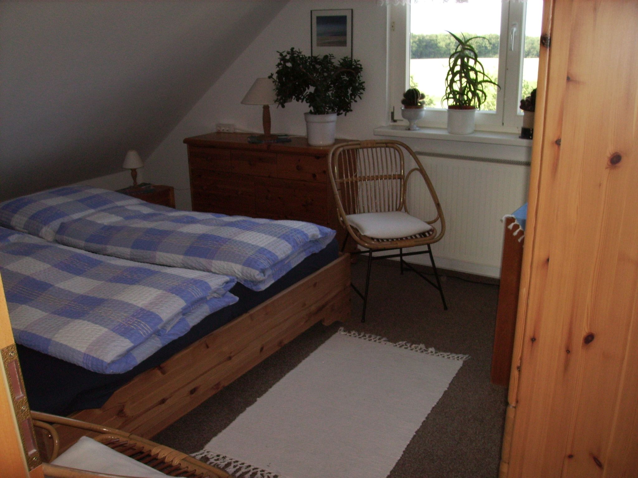 Schneewitz in Lohme auf R�gen