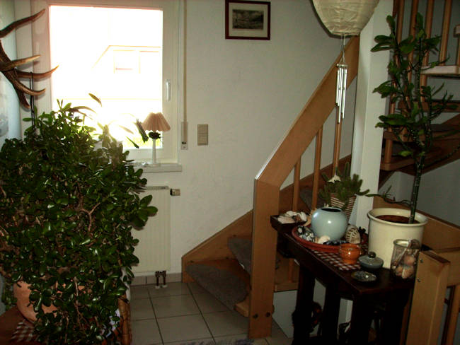 Schneewitz in Lohme auf R�gen