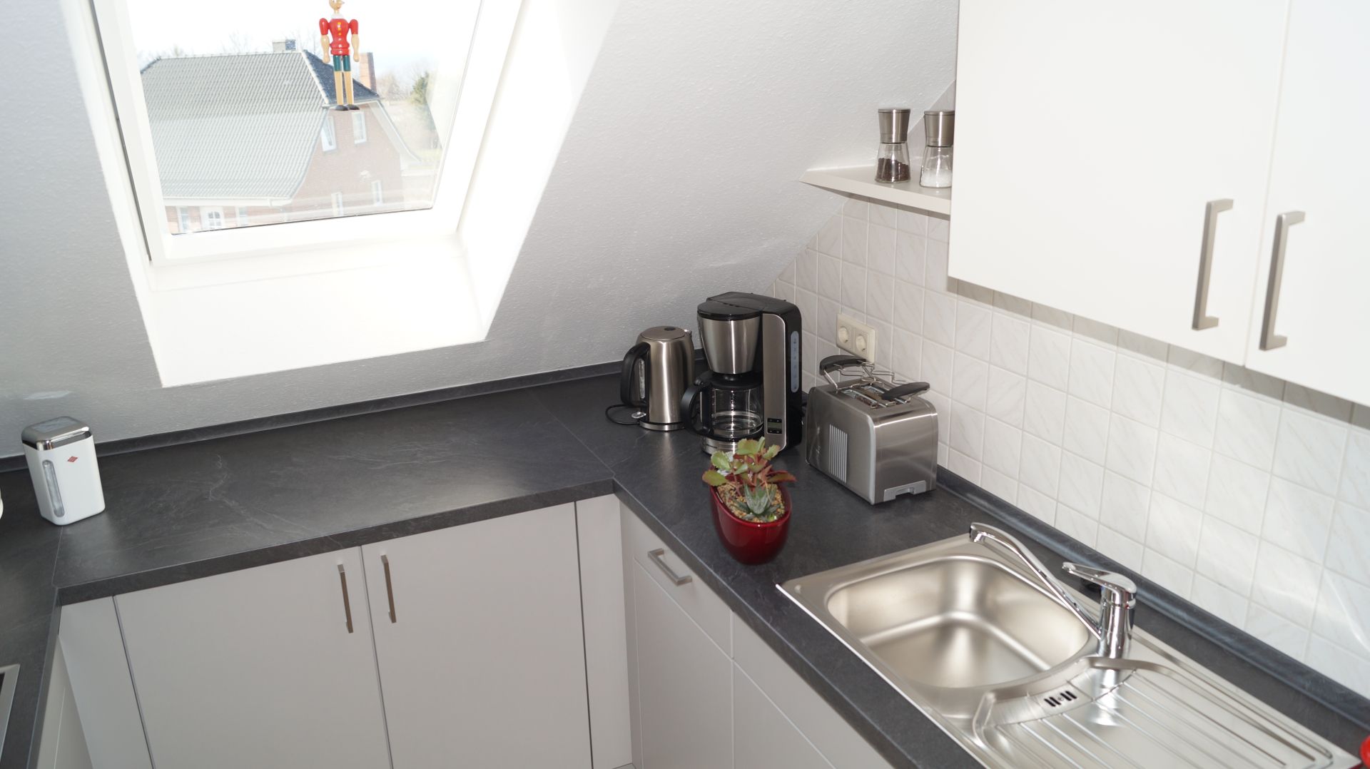 Schneewitz in Lohme auf R�gen