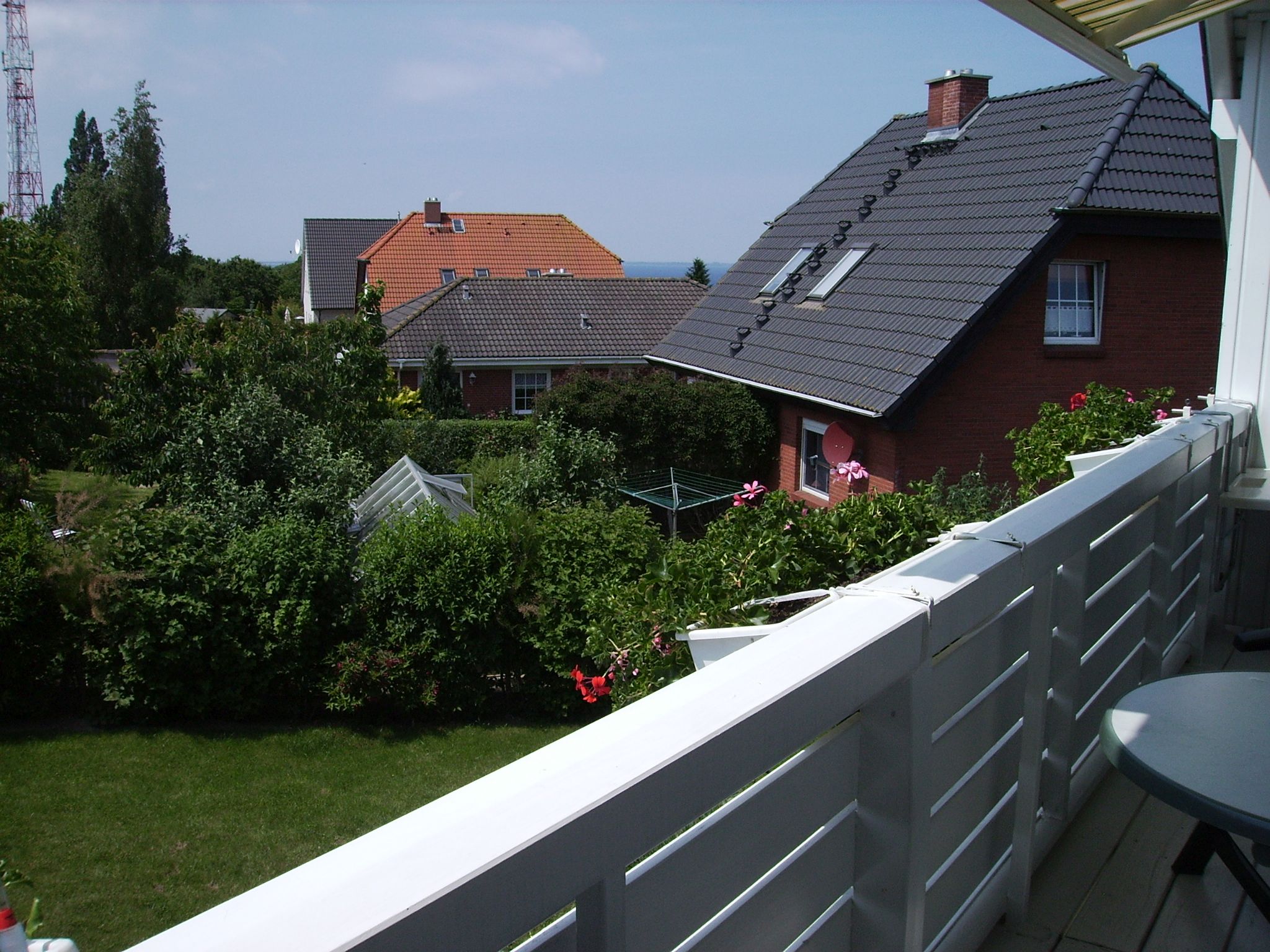 Schneewitz in Lohme auf R�gen